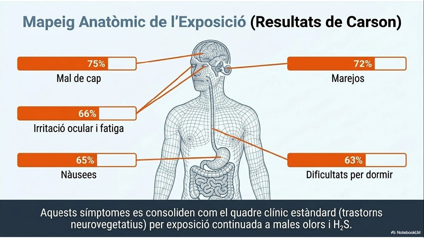 Mapeig anatòmic de l'exposició
